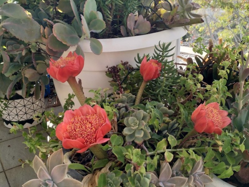 The party is on the&nbsp;inside